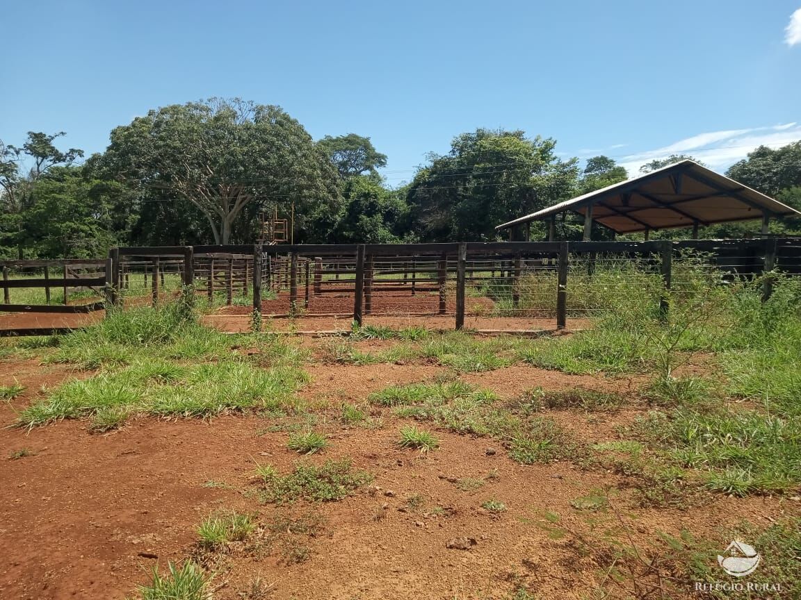 Fazenda, 96 hectares - Foto 3