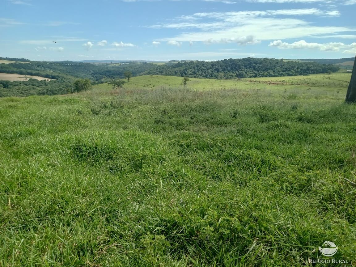 Fazenda, 96 hectares - Foto 4