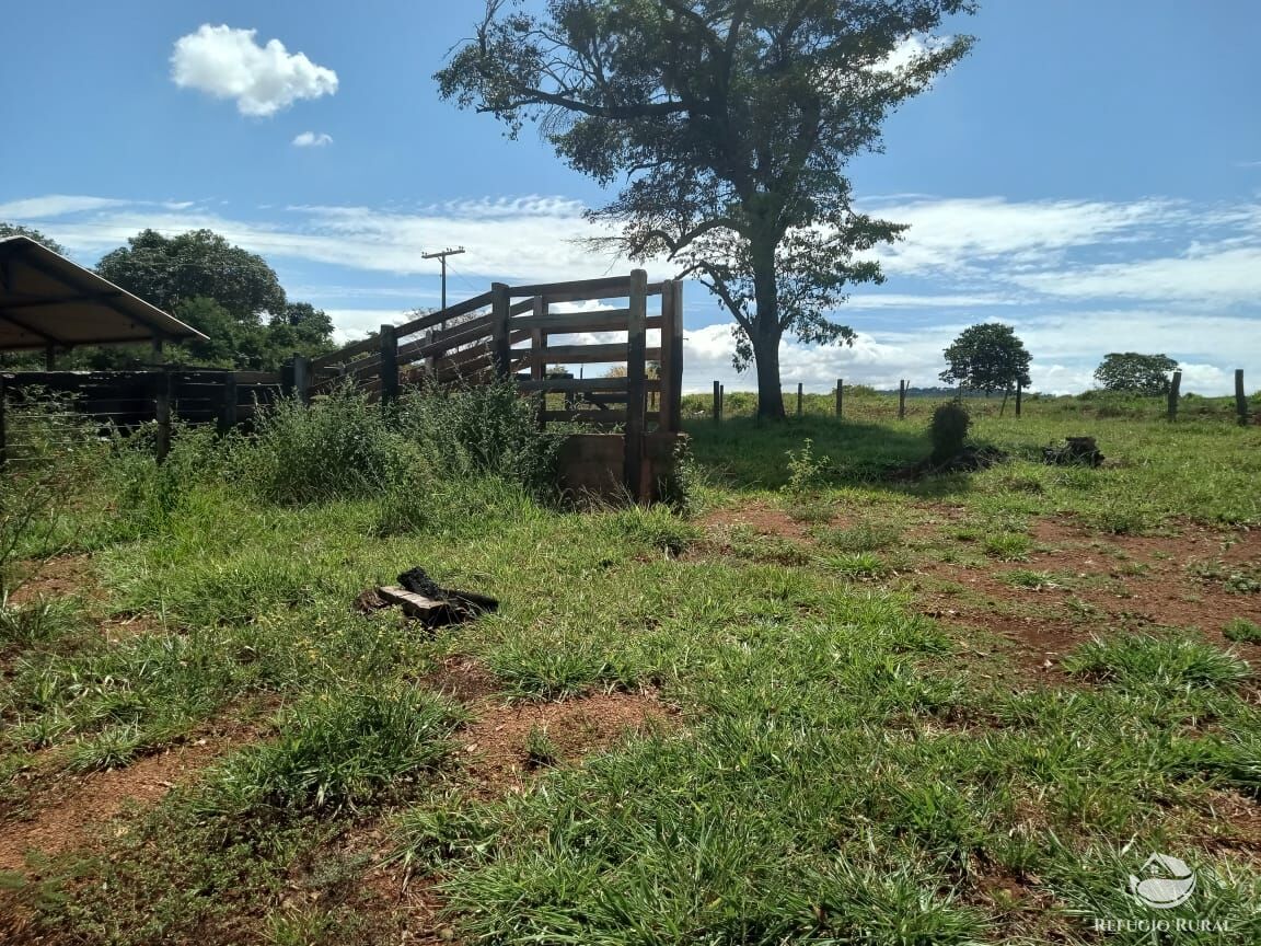 Fazenda, 96 hectares - Foto 2