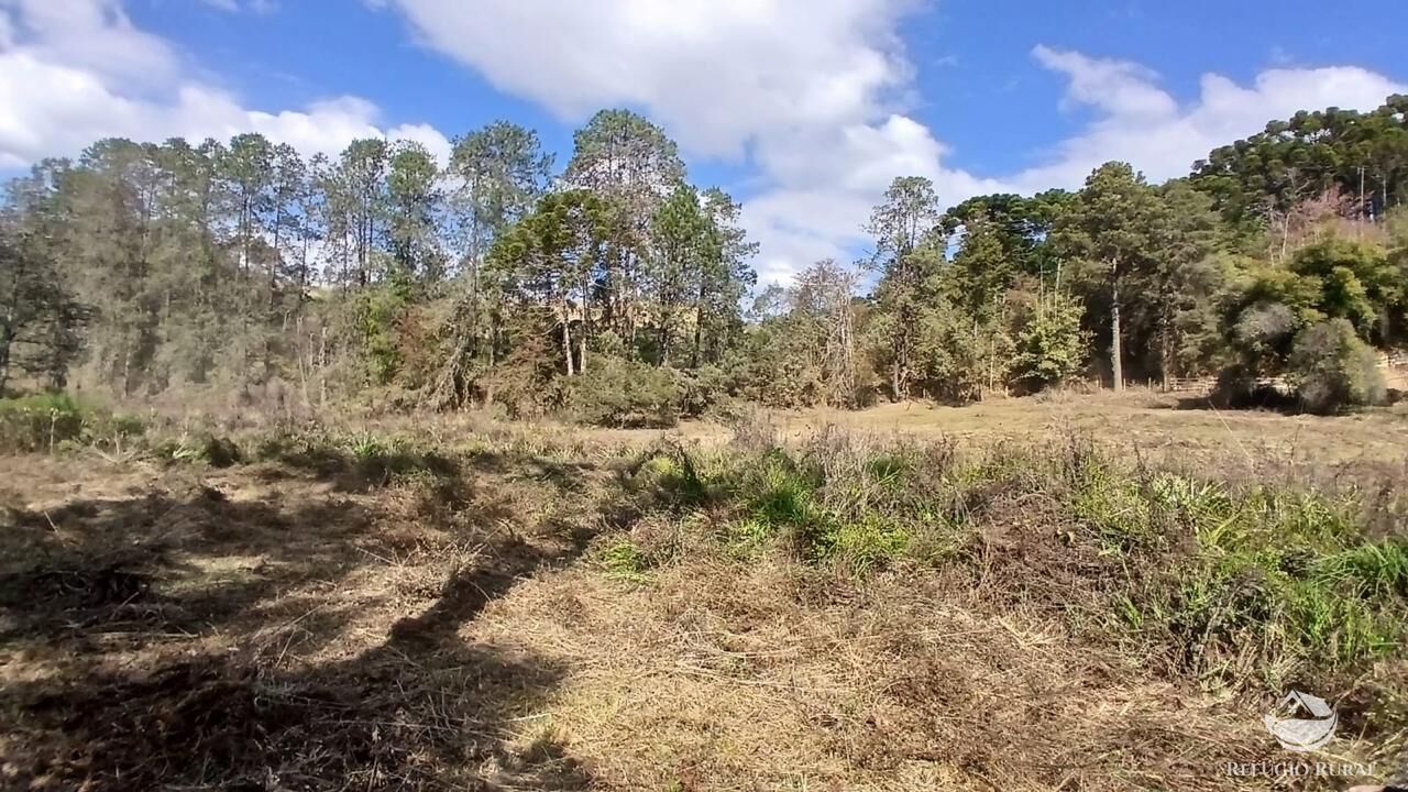 Terreno à venda, 11000m² - Foto 9