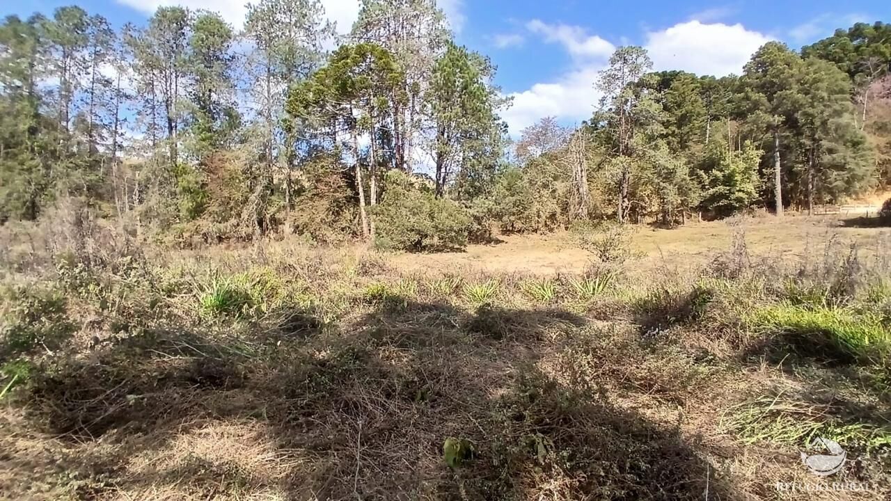 Terreno à venda, 11000m² - Foto 10