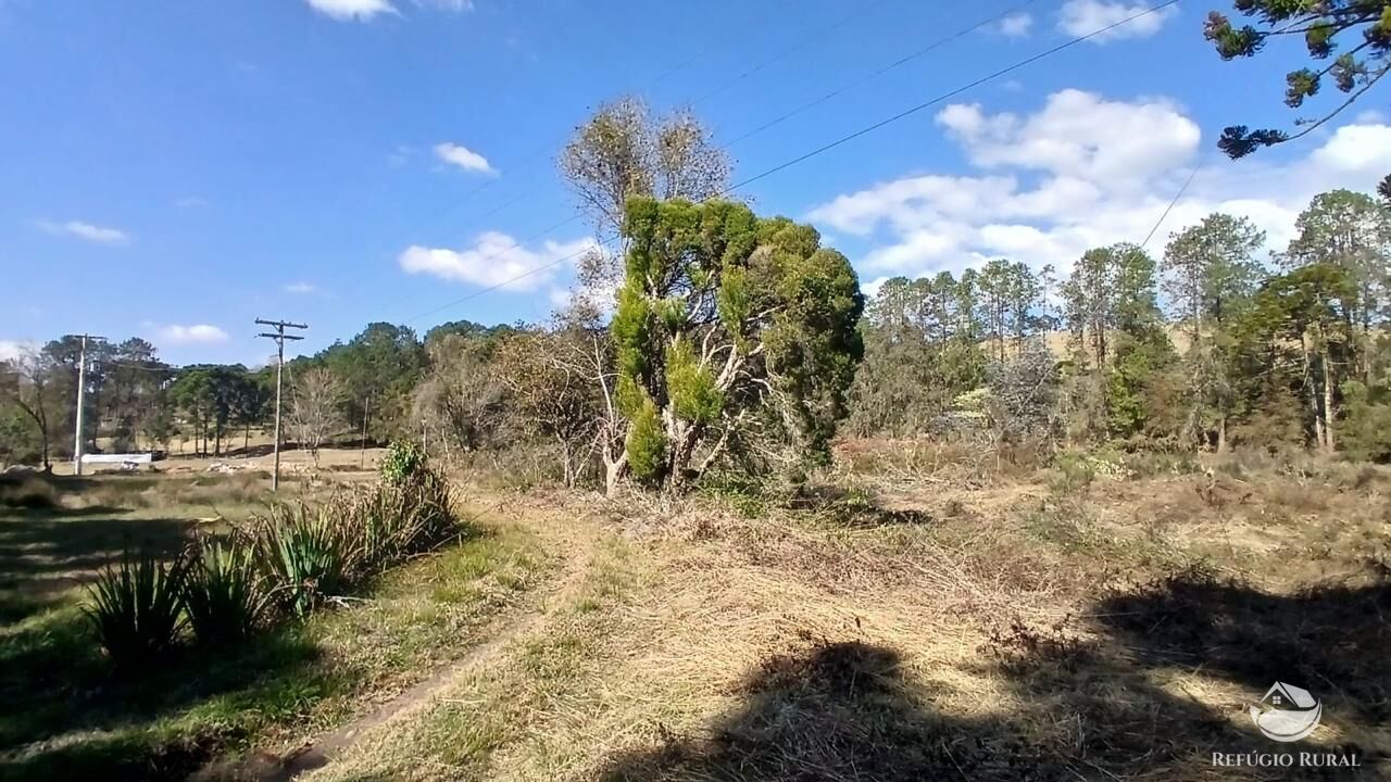 Terreno à venda, 11000m² - Foto 18