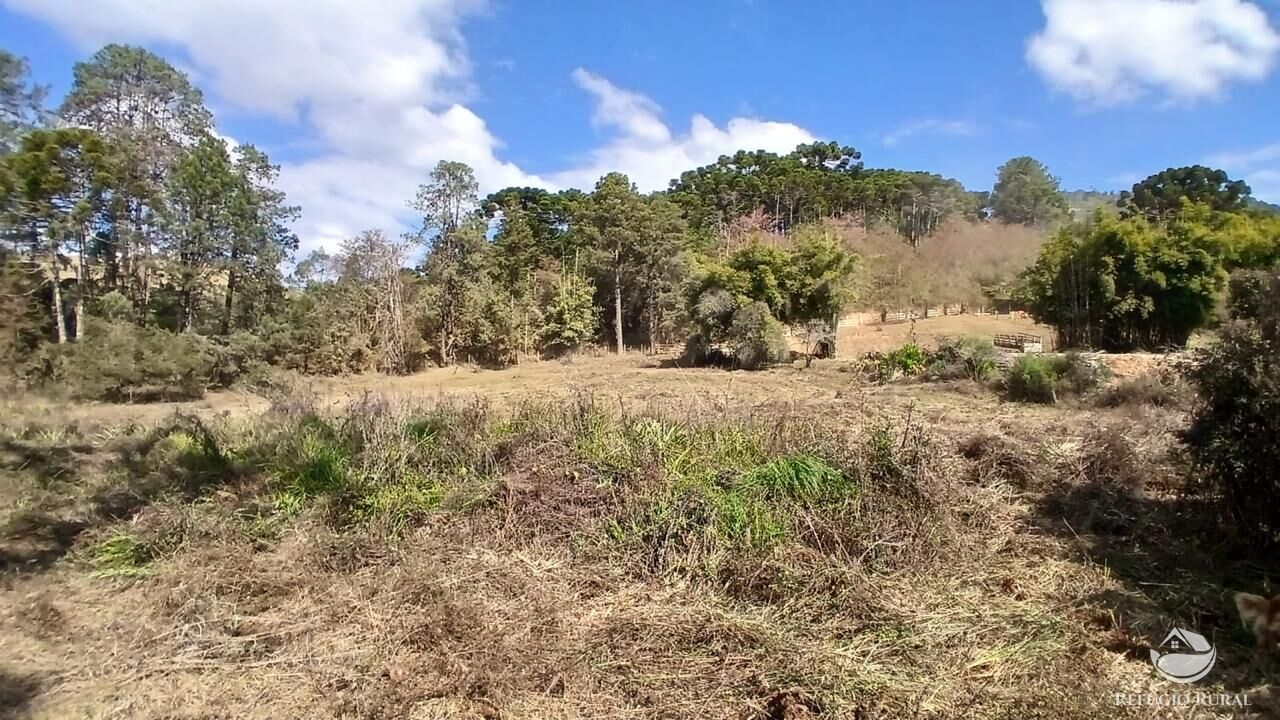 Terreno à venda, 11000m² - Foto 8
