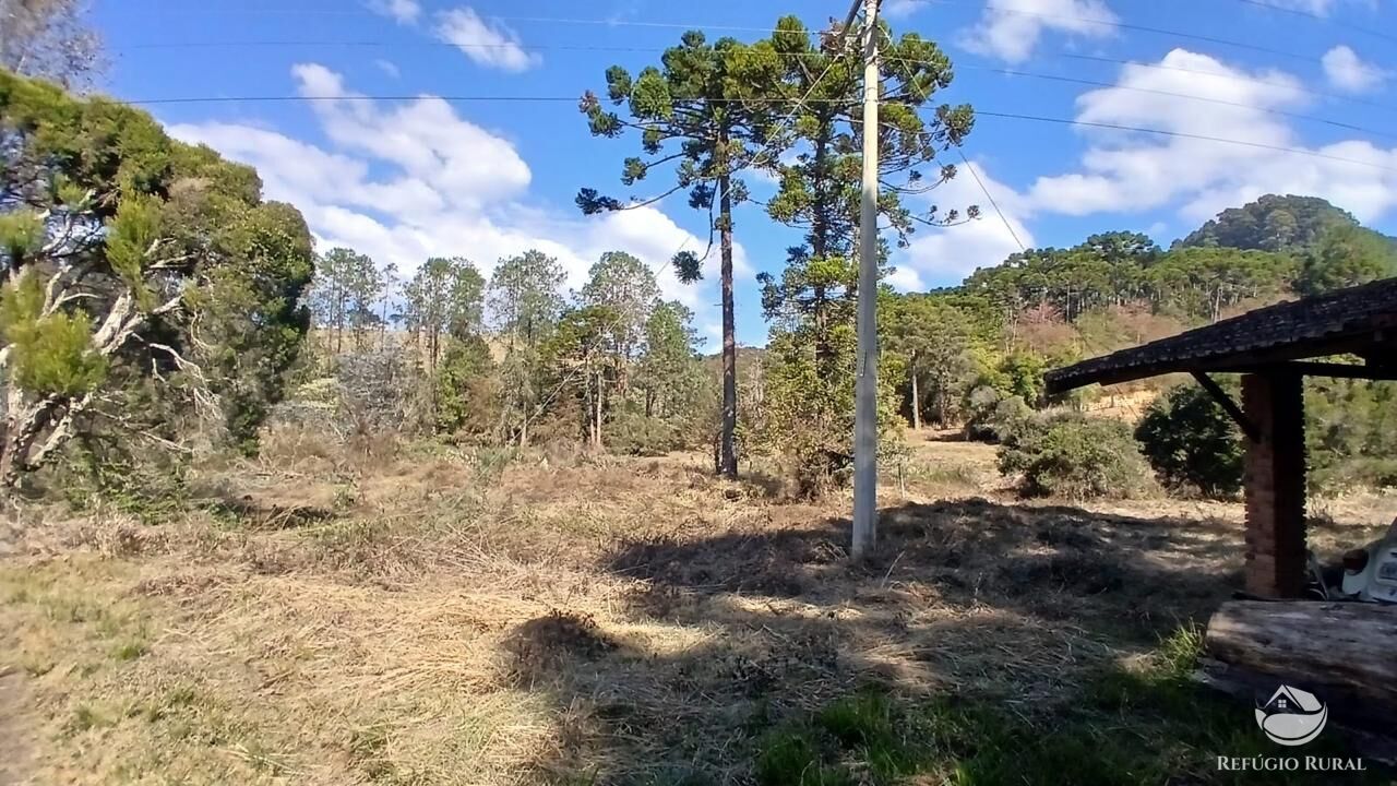 Terreno à venda, 11000m² - Foto 17