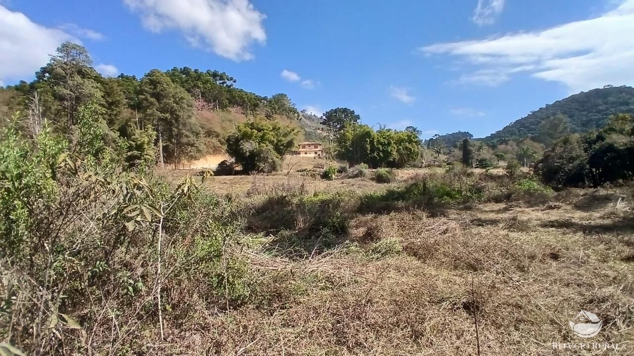 Terreno à venda, 11000m² - Foto 12