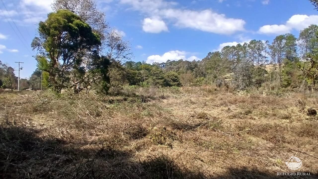 Terreno à venda, 11000m² - Foto 16