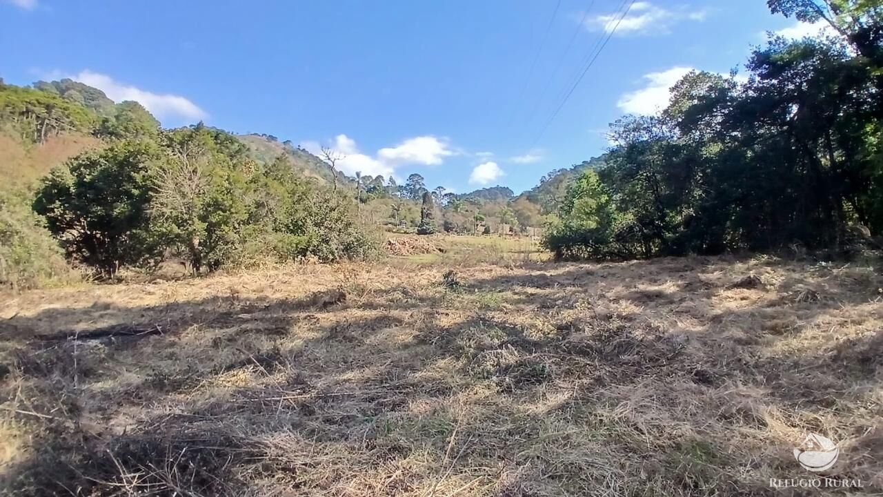 Terreno à venda, 11000m² - Foto 15