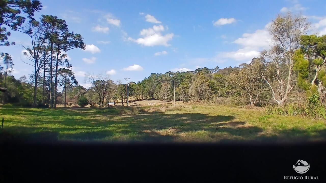 Terreno à venda, 11000m² - Foto 4