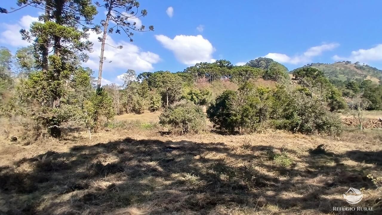 Terreno à venda, 11000m² - Foto 14