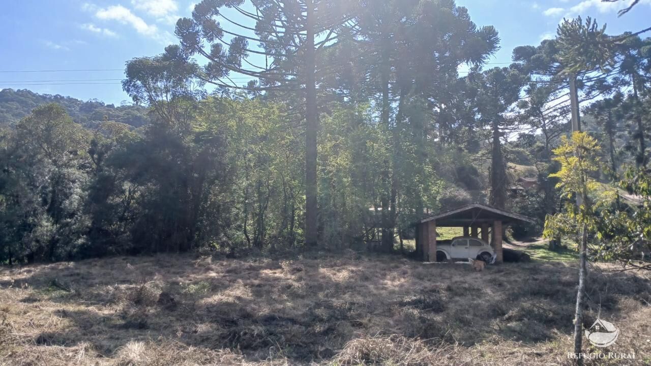 Terreno à venda, 11000m² - Foto 6
