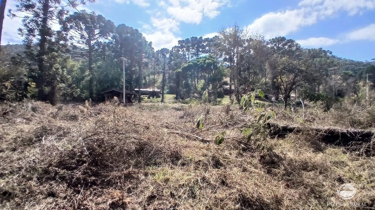 Terreno à venda, 11000m² - Foto 3
