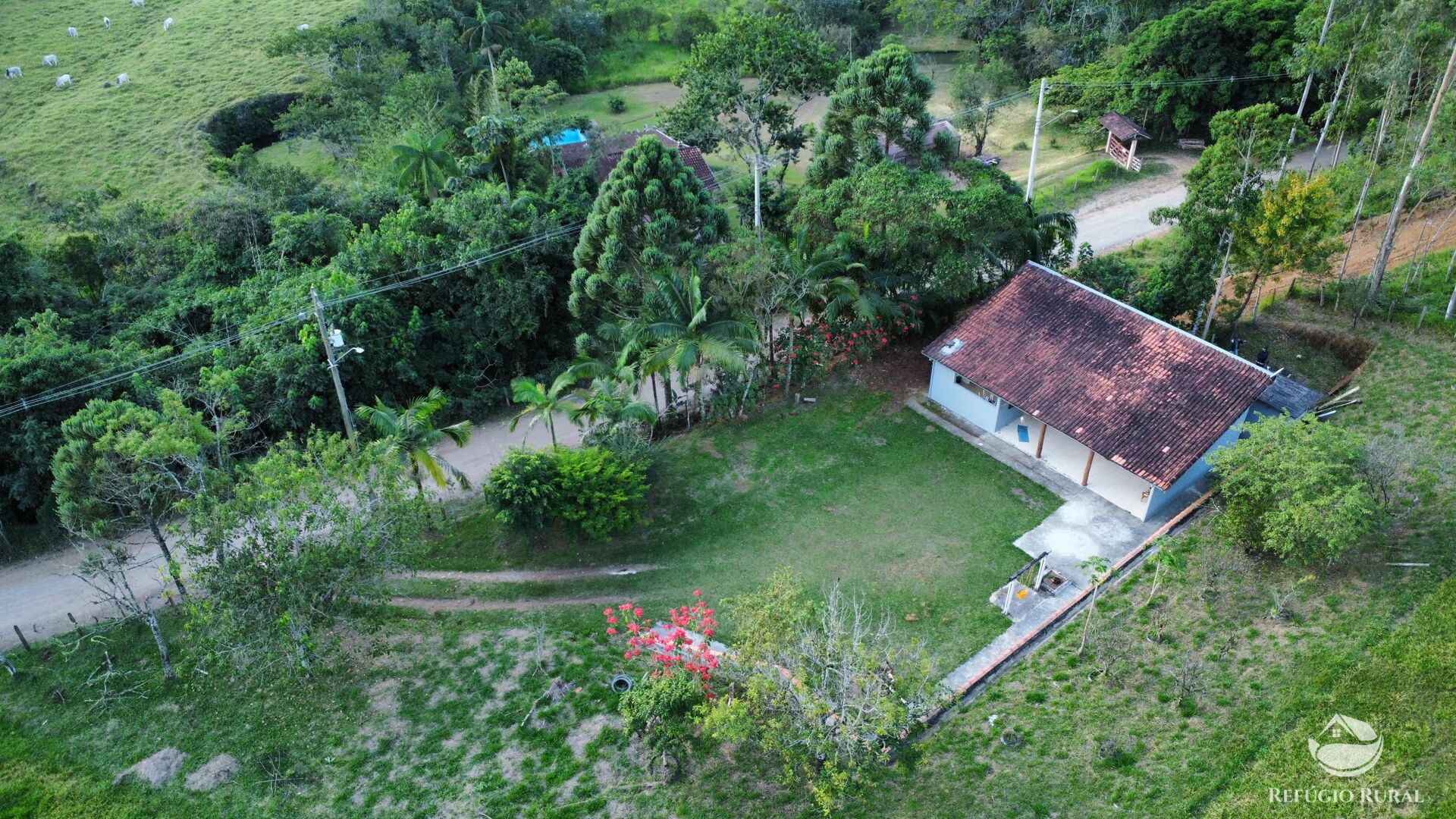 Chácara à venda com 1 quarto, 24200m² - Foto 2