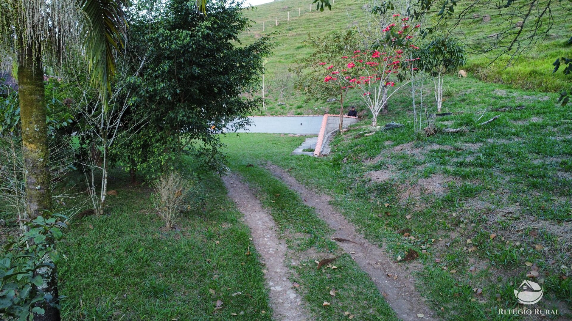 Chácara à venda com 1 quarto, 24200m² - Foto 13