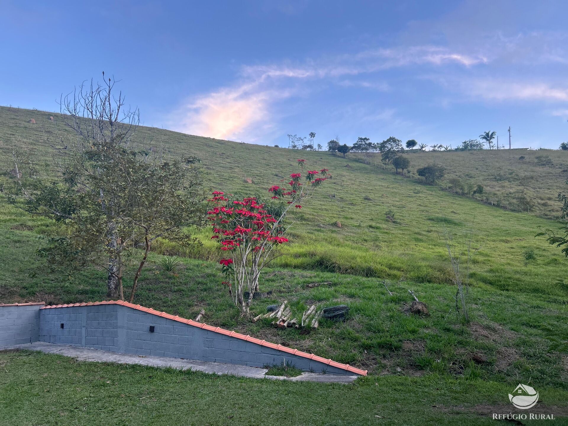 Chácara à venda com 1 quarto, 24200m² - Foto 27