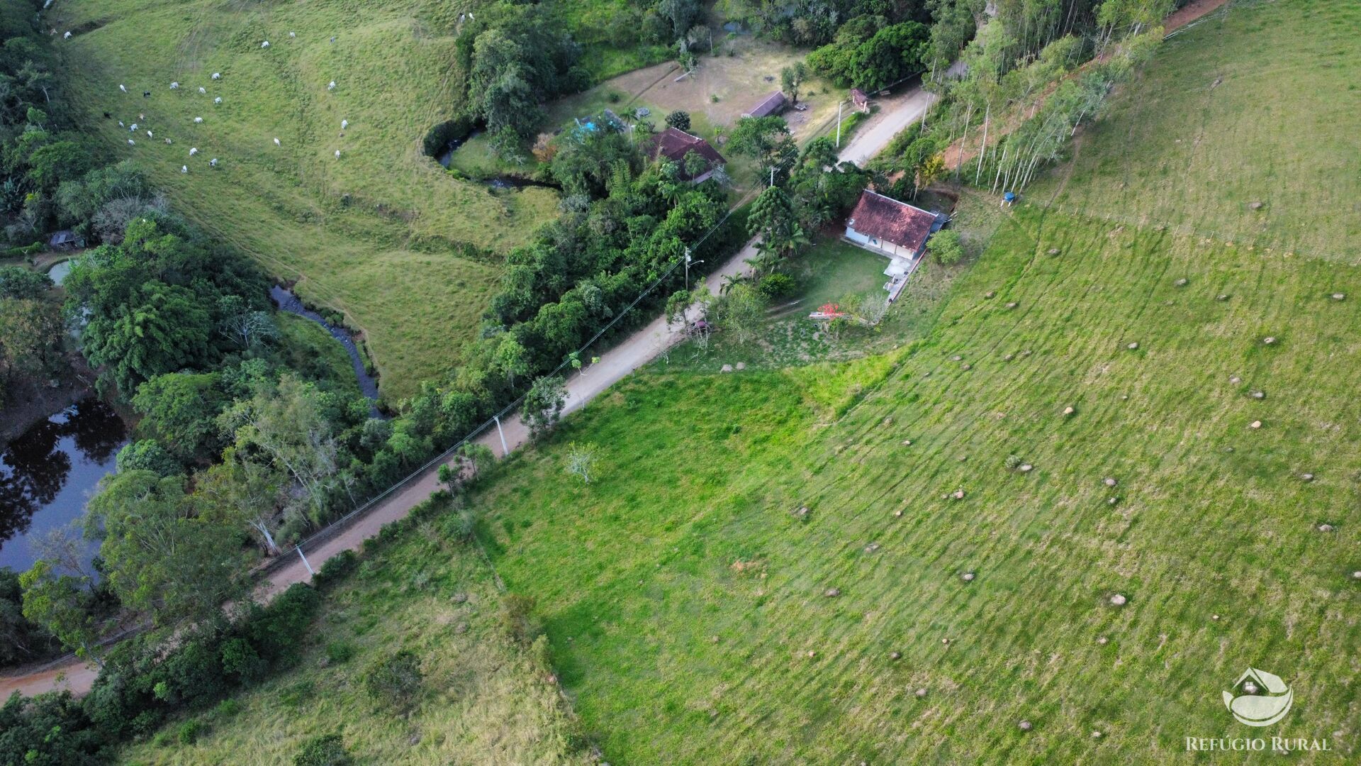 Chácara à venda com 1 quarto, 24200m² - Foto 22