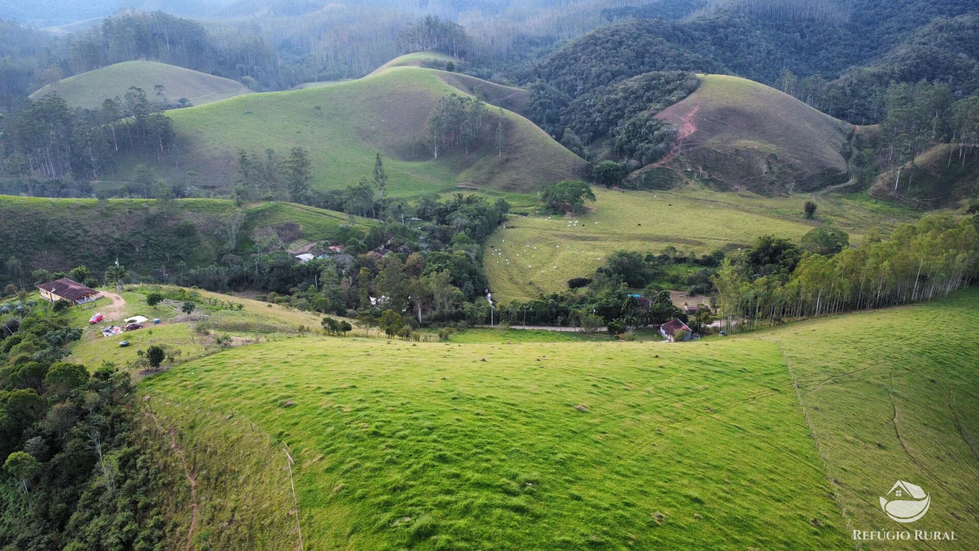 Chácara à venda com 1 quarto, 24200m² - Foto 4