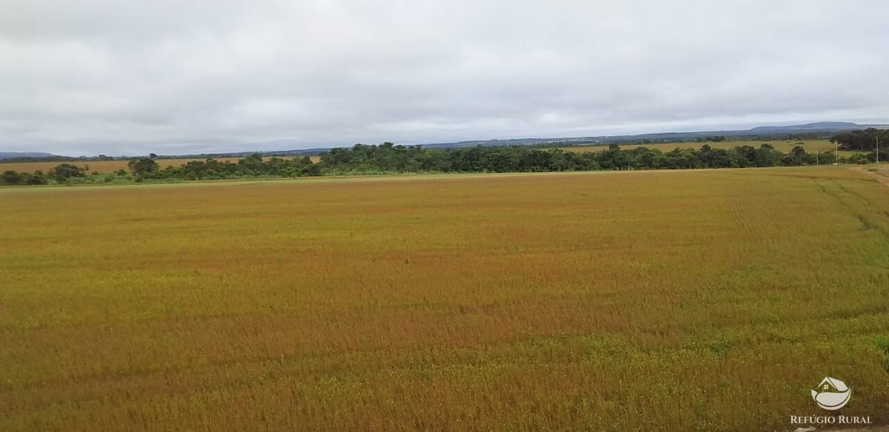 Fazenda à venda com 2 quartos, 10900000m² - Foto 3