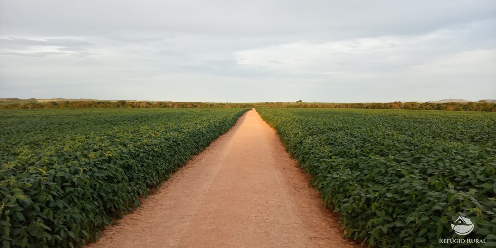 Fazenda à venda com 2 quartos, 10900000m² - Foto 15