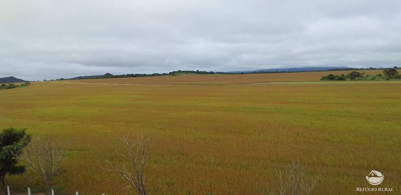 Fazenda à venda com 2 quartos, 10900000m² - Foto 4