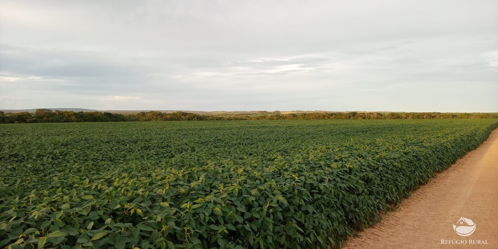 Fazenda à venda com 2 quartos, 10900000m² - Foto 13