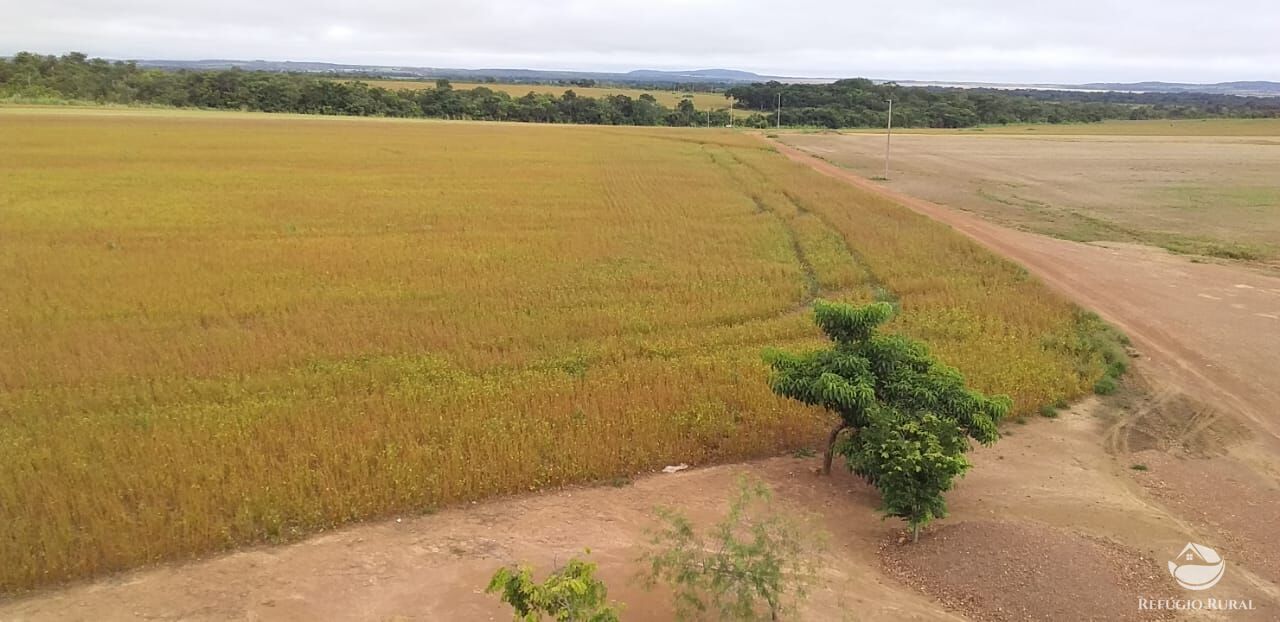 Fazenda à venda com 2 quartos, 10900000m² - Foto 9