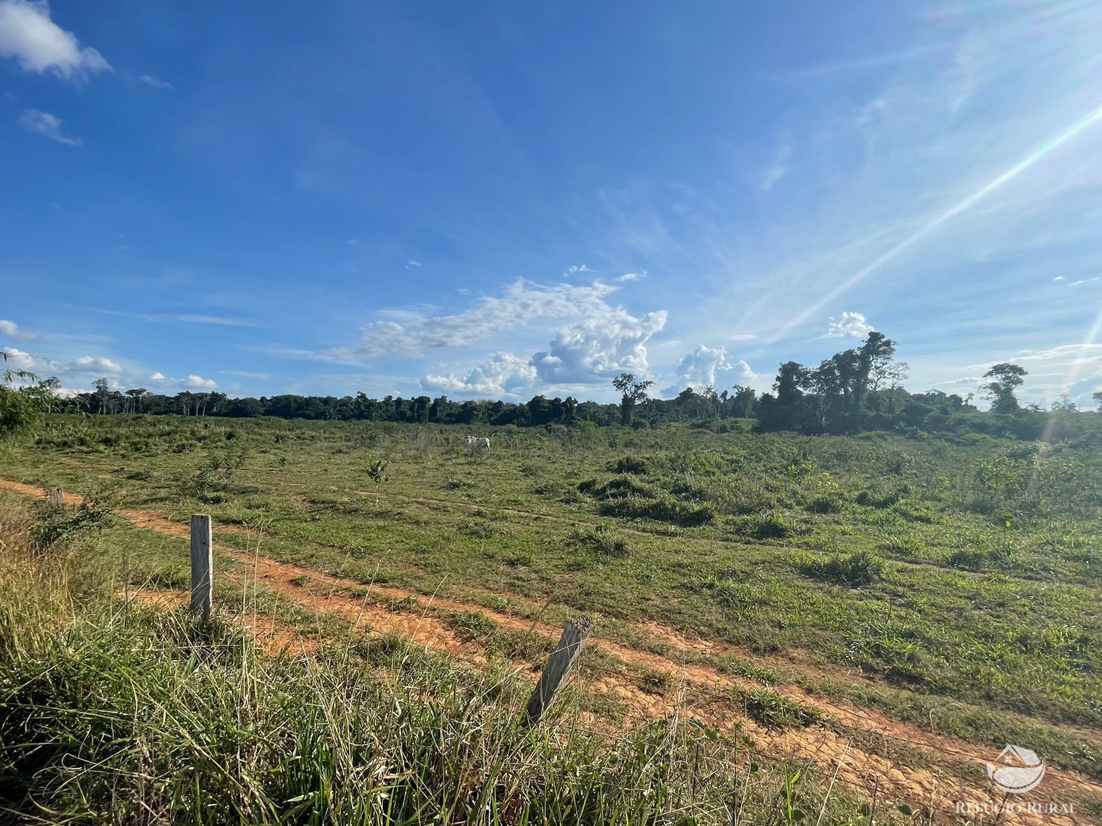 Fazenda à venda com 1 quarto, 9680000m² - Foto 4