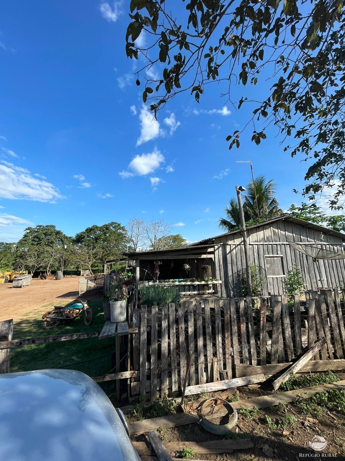 Fazenda à venda com 1 quarto, 9680000m² - Foto 5