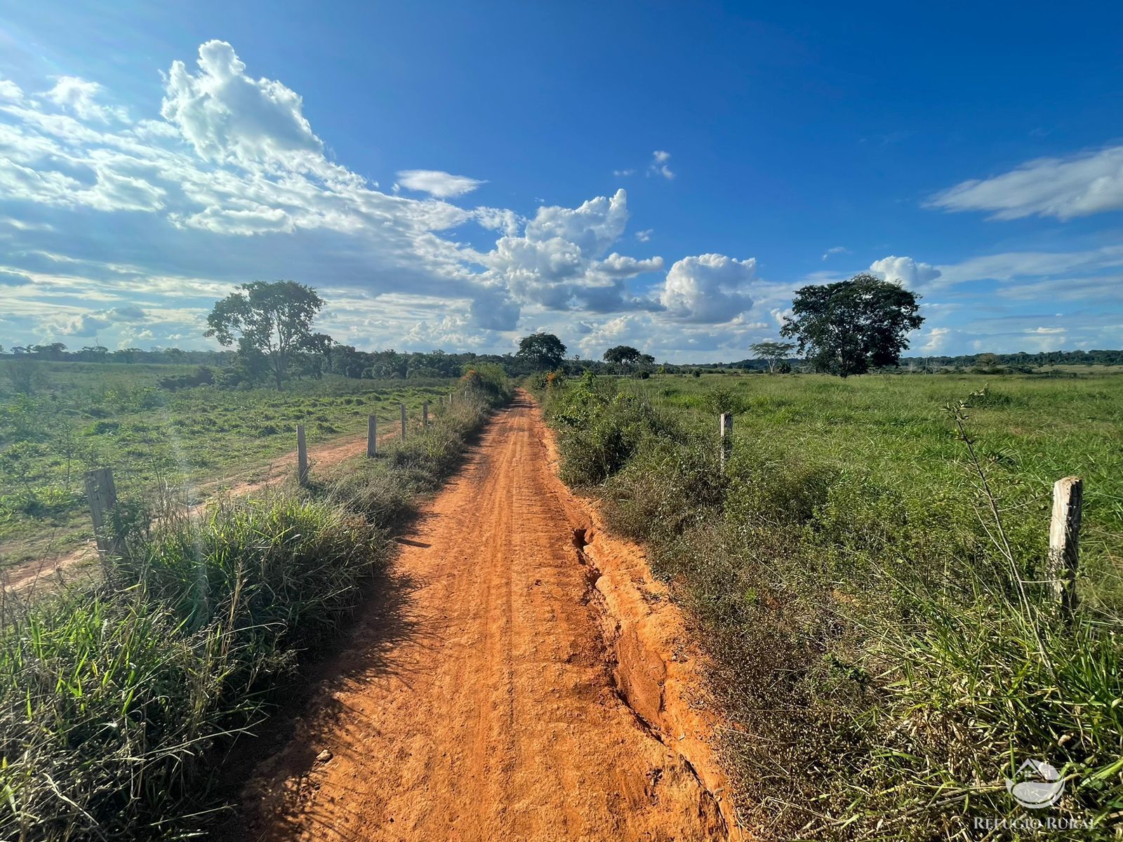 Fazenda à venda com 1 quarto, 9680000m² - Foto 2