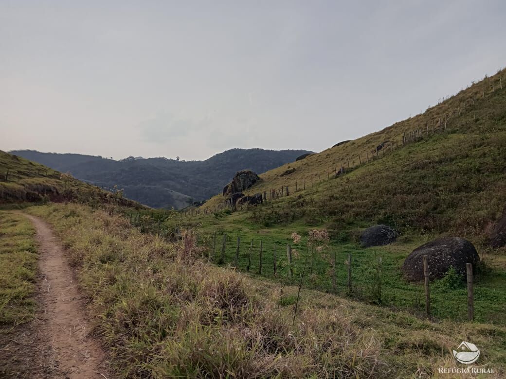 Fazenda à venda com 3 quartos, 30000m² - Foto 41