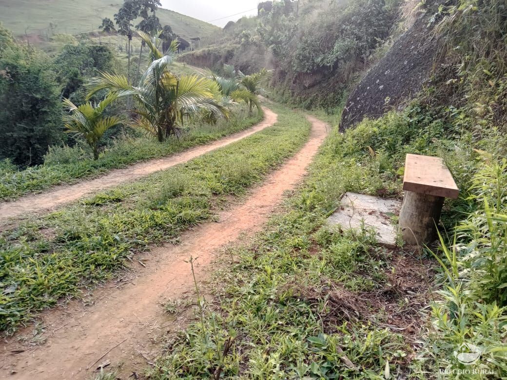 Fazenda à venda com 3 quartos, 30000m² - Foto 48