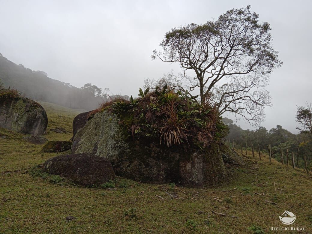 Fazenda à venda com 3 quartos, 30000m² - Foto 32