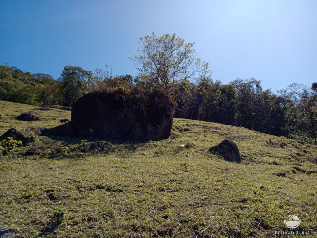 Fazenda à venda com 3 quartos, 30000m² - Foto 20