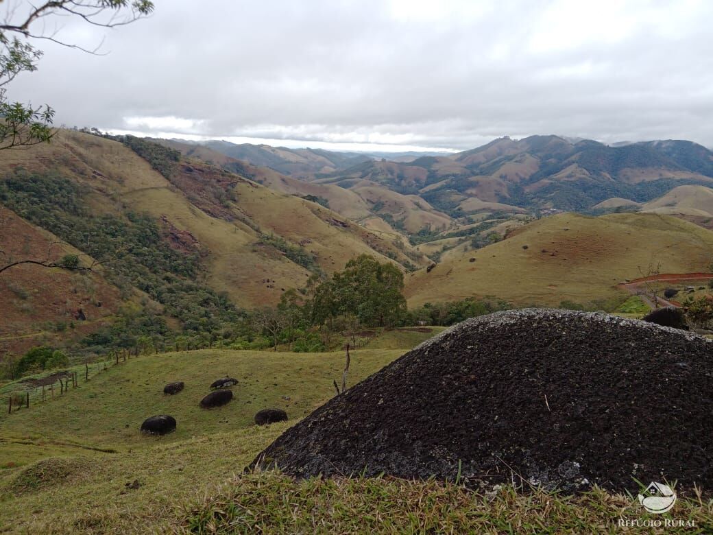 Fazenda à venda com 3 quartos, 30000m² - Foto 34