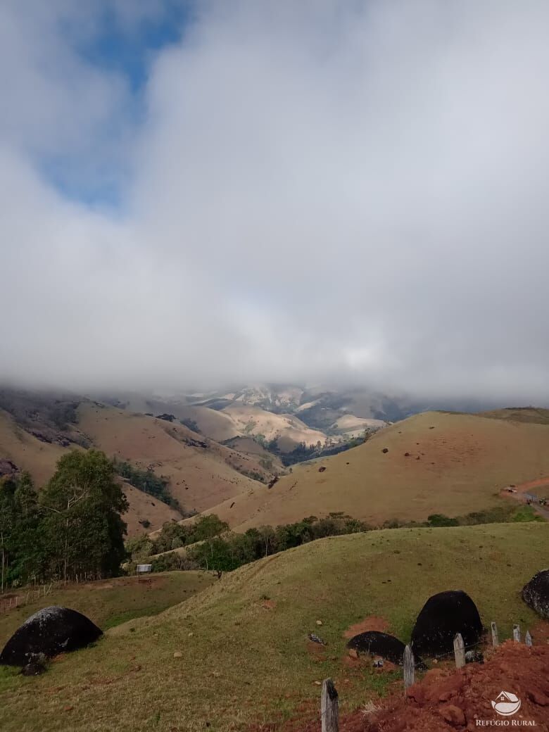 Fazenda à venda com 3 quartos, 30000m² - Foto 36