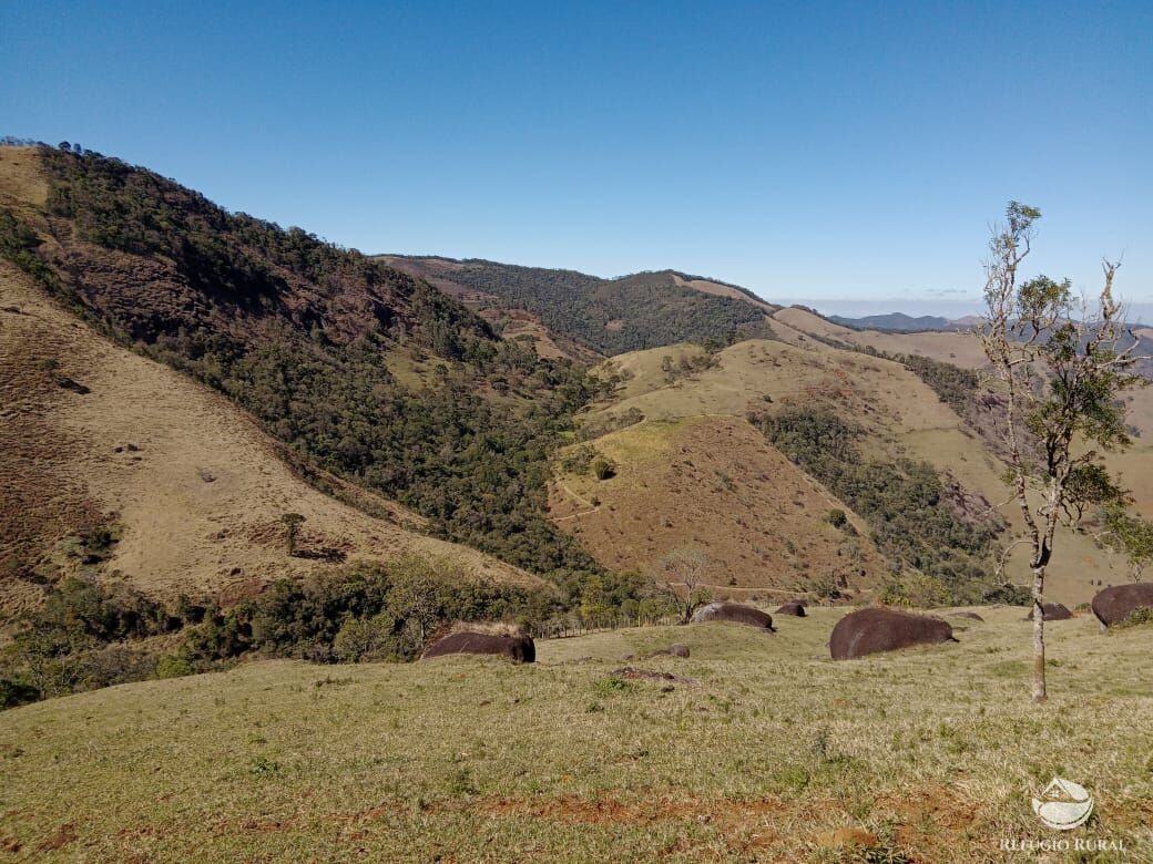 Fazenda à venda com 3 quartos, 30000m² - Foto 26