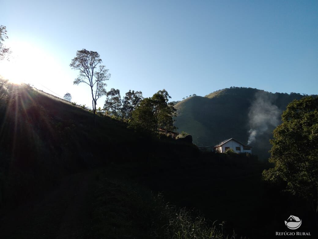 Fazenda à venda com 3 quartos, 30000m² - Foto 35