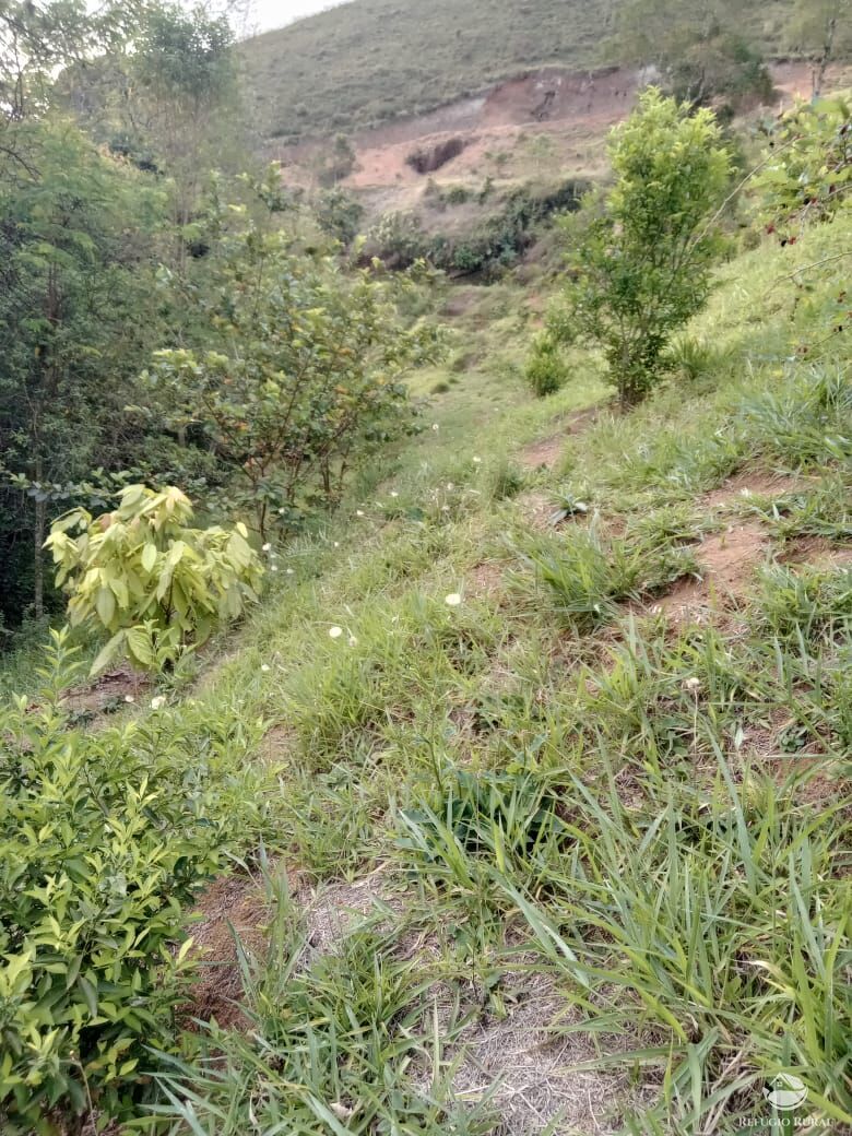 Fazenda à venda com 3 quartos, 30000m² - Foto 13