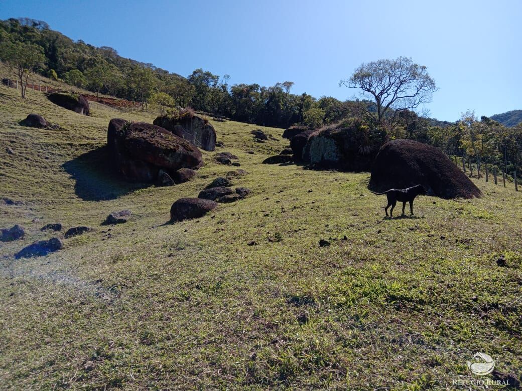 Fazenda à venda com 3 quartos, 30000m² - Foto 11