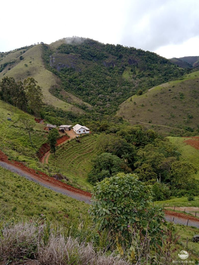 Fazenda à venda com 3 quartos, 30000m² - Foto 7