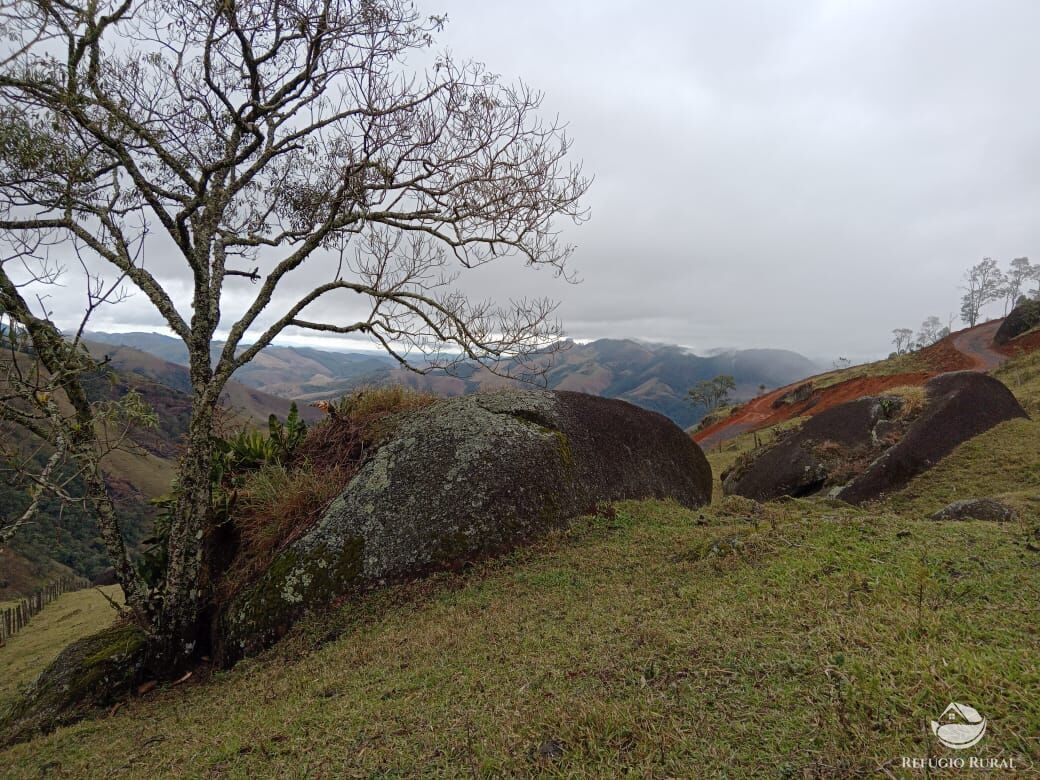 Fazenda à venda com 3 quartos, 30000m² - Foto 25