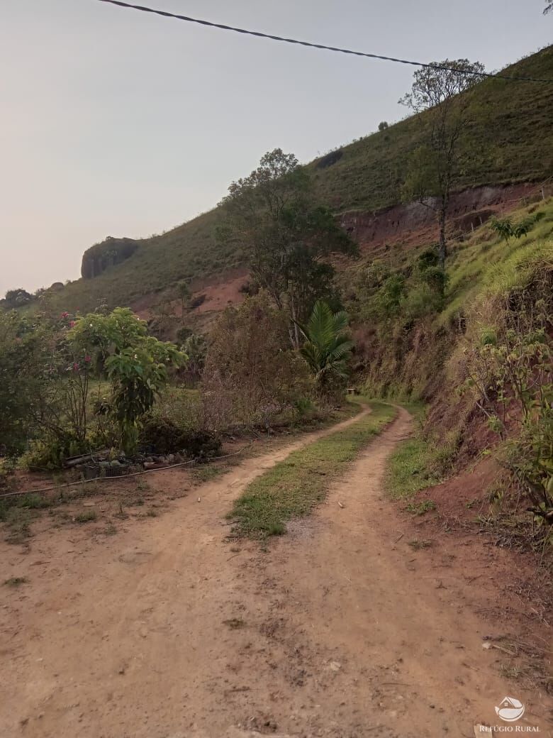 Fazenda à venda com 3 quartos, 30000m² - Foto 50