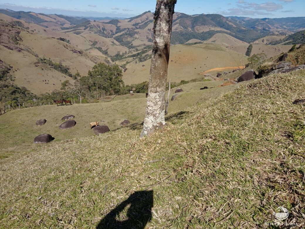 Fazenda à venda com 3 quartos, 30000m² - Foto 21