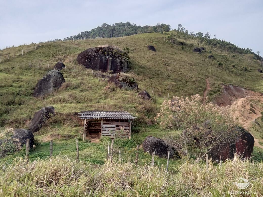 Fazenda à venda com 3 quartos, 30000m² - Foto 42