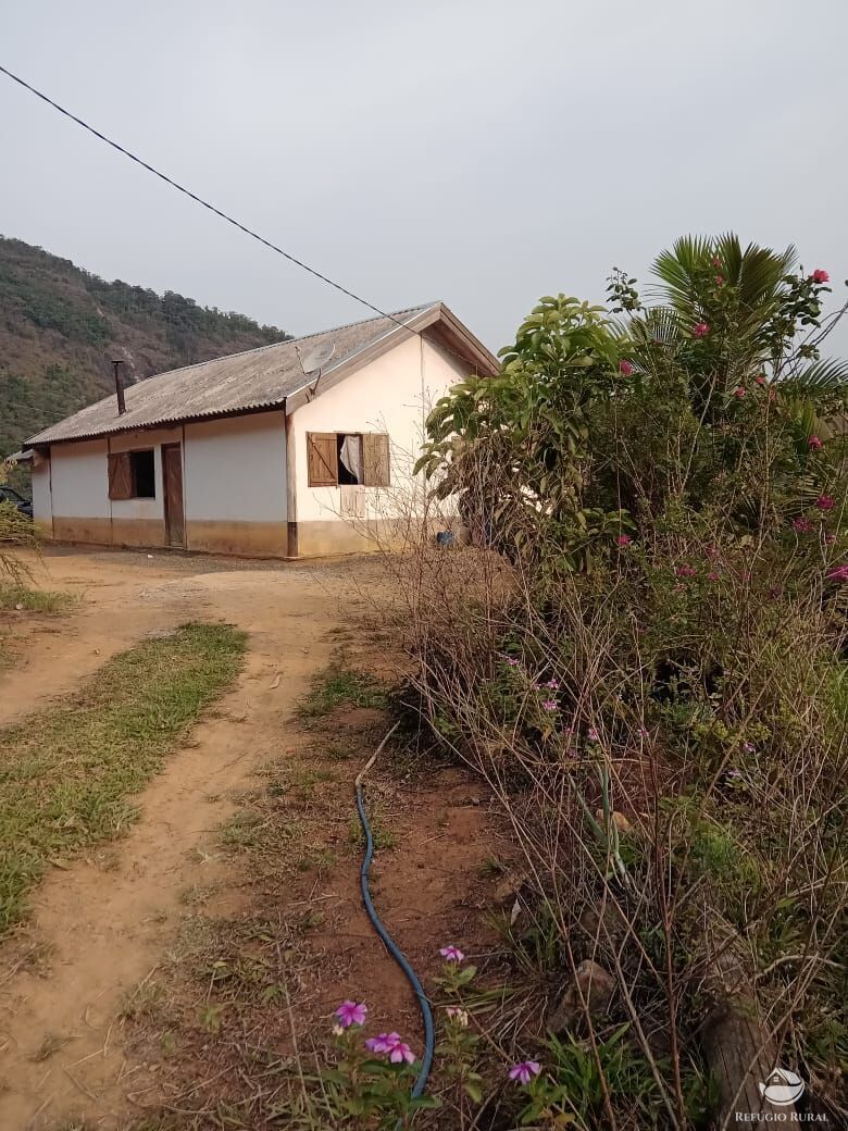 Fazenda à venda com 3 quartos, 30000m² - Foto 12