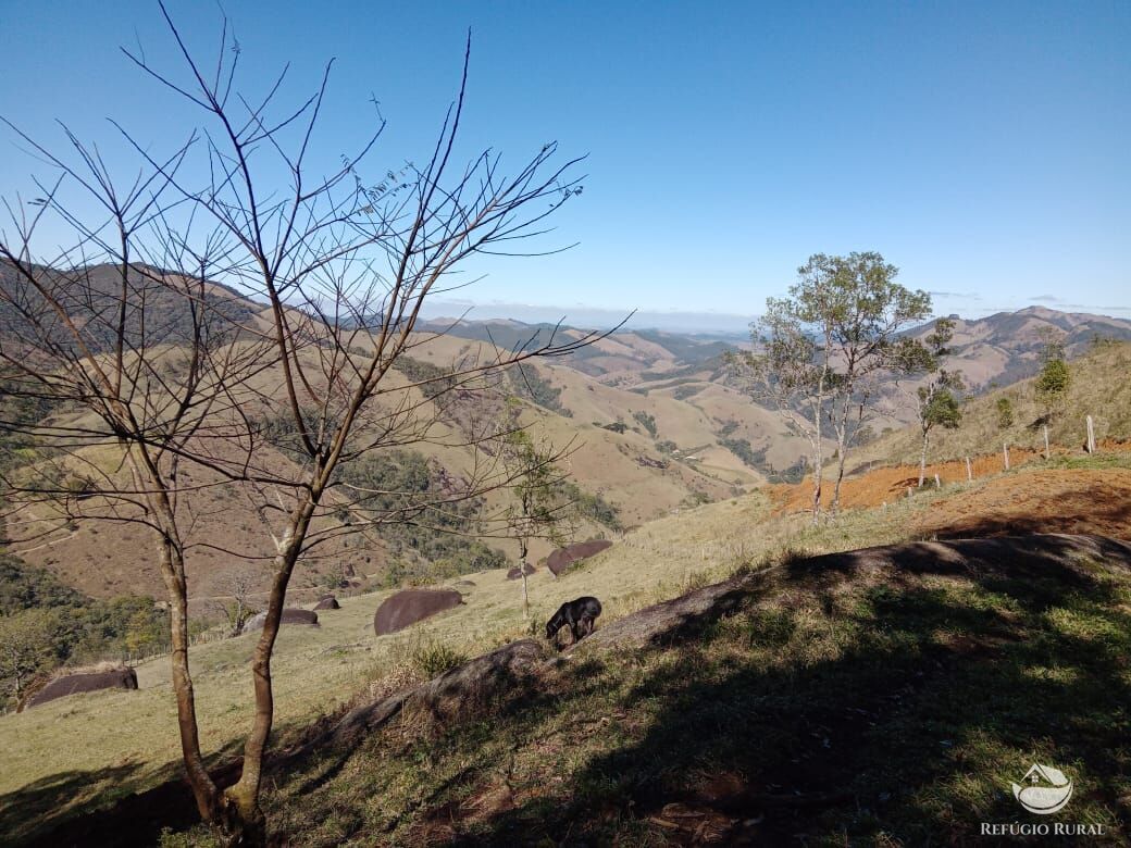 Fazenda à venda com 3 quartos, 30000m² - Foto 37