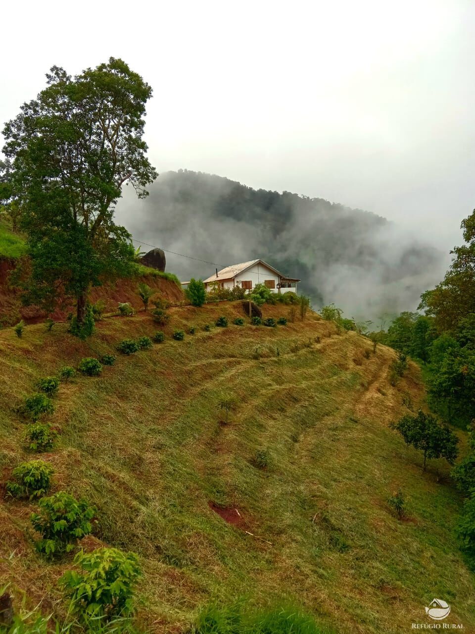 Fazenda à venda com 3 quartos, 30000m² - Foto 1