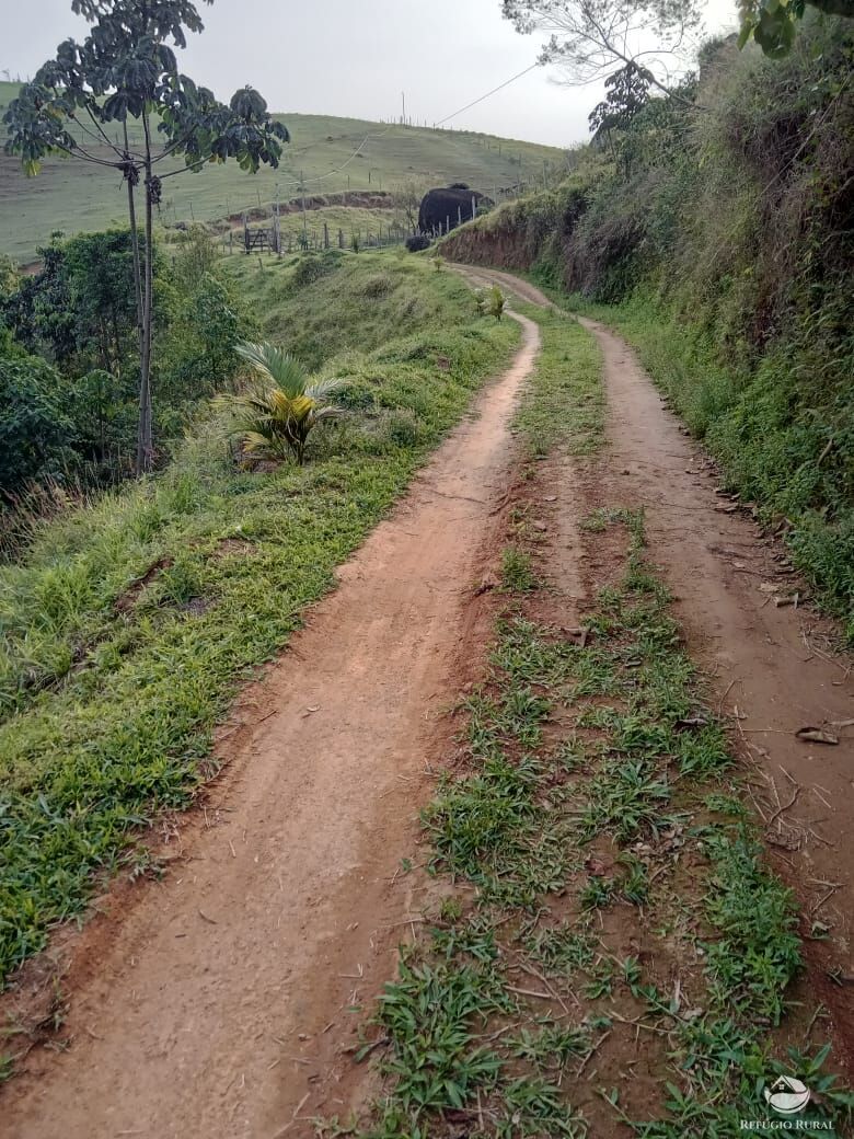 Fazenda à venda com 3 quartos, 30000m² - Foto 8