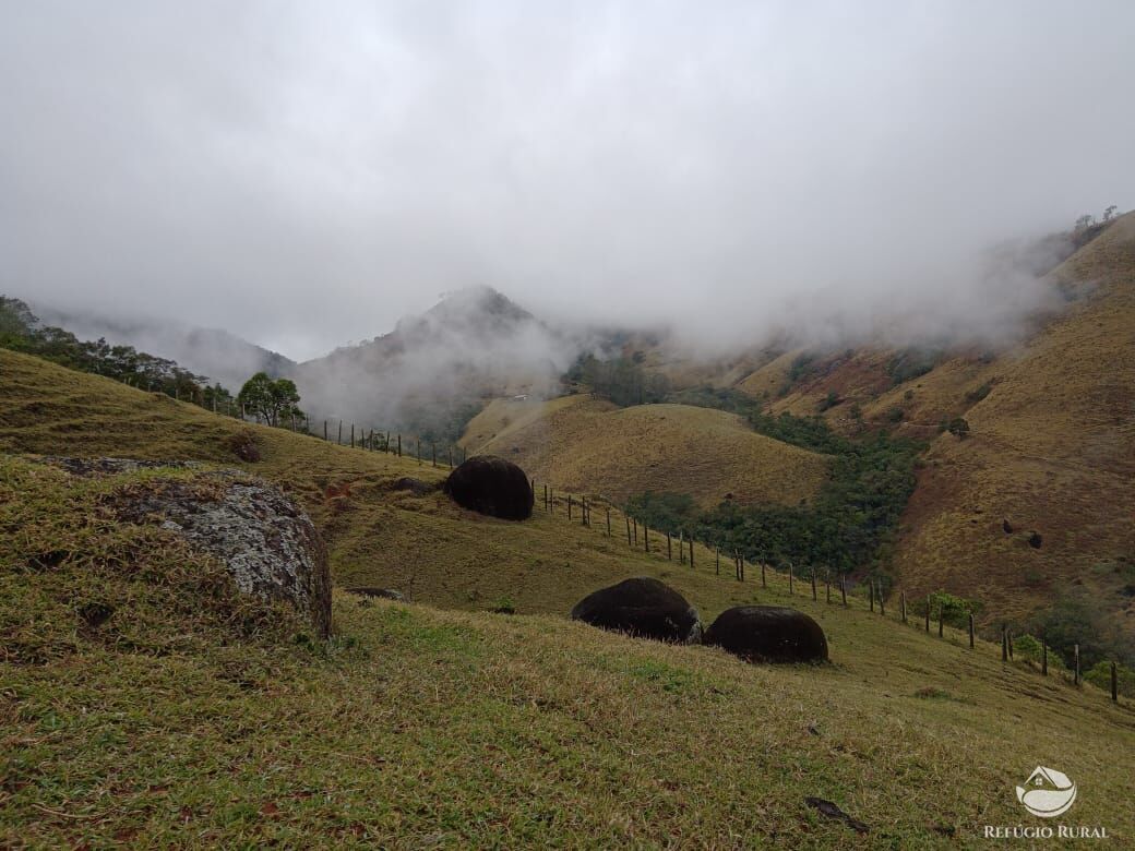 Fazenda à venda com 3 quartos, 30000m² - Foto 30