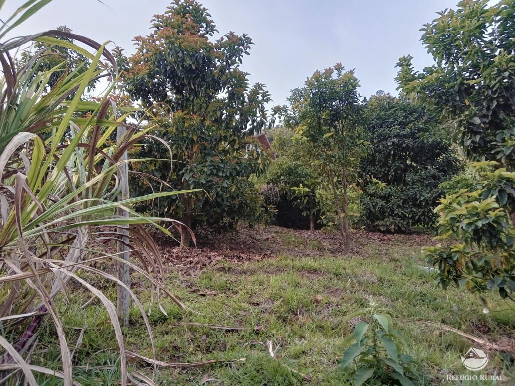 Fazenda à venda com 3 quartos, 30000m² - Foto 10