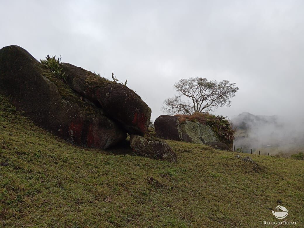 Fazenda à venda com 3 quartos, 30000m² - Foto 33